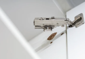 Loose Hinges Pictures