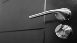 Door handle pic