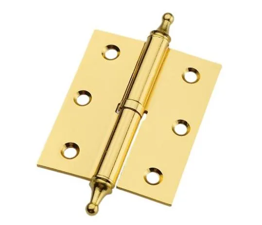 Hinge Pic