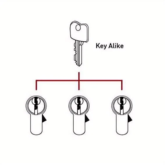 alike key